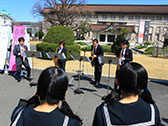 桜の街の音楽会