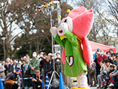 桜の街の音楽会