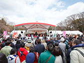 桜の街の音楽会