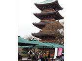 桜の街の音楽会