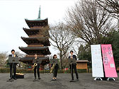 桜の街の音楽会
