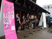 桜の街の音楽会