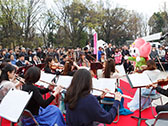 桜の街の音楽会