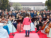 桜の街の音楽会