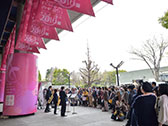 桜の街の音楽会
