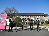 桜の街の音楽会