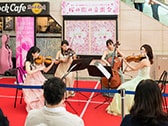 桜の街の音楽会