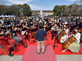 桜の街の音楽会