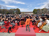 桜の街の音楽会