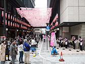 桜の街の音楽会