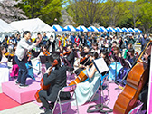 桜の街の音楽会