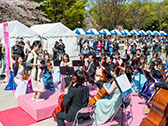 桜の街の音楽会