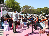 桜の街の音楽会