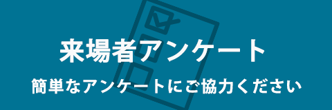アンケート