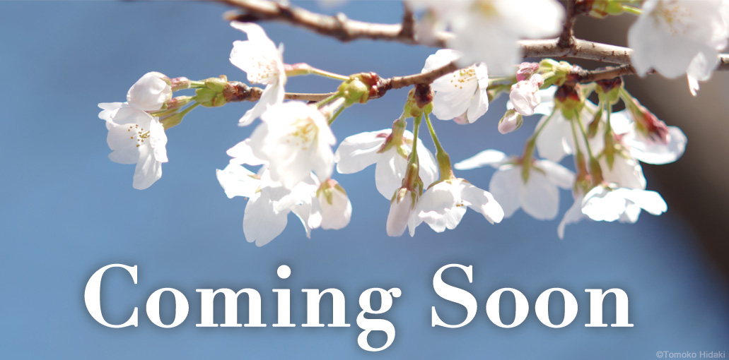 公演プログラム発表までしばらくお待ちください